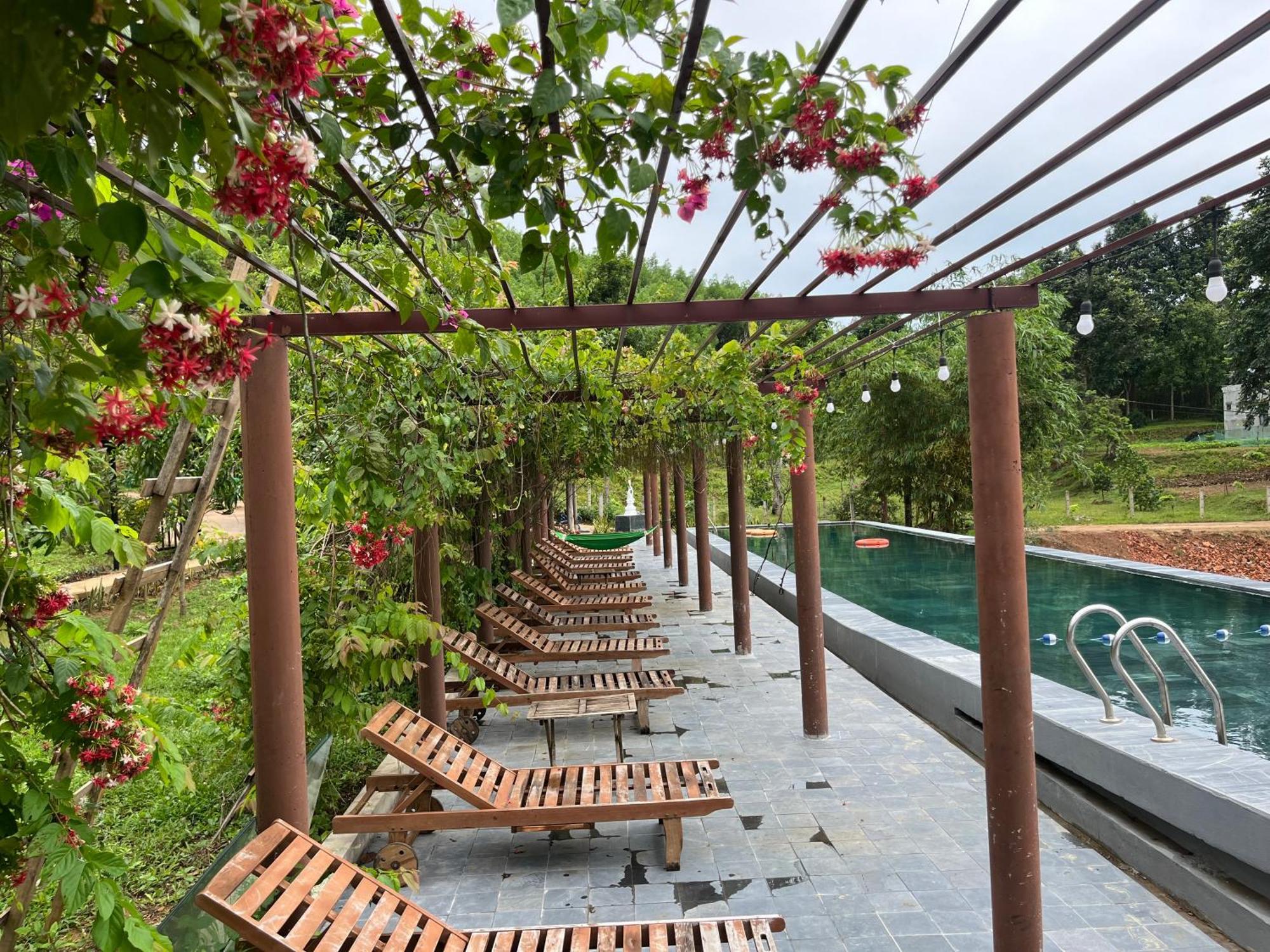 Nguyen Shack Retreat Resort フォンニャ エクステリア 写真
