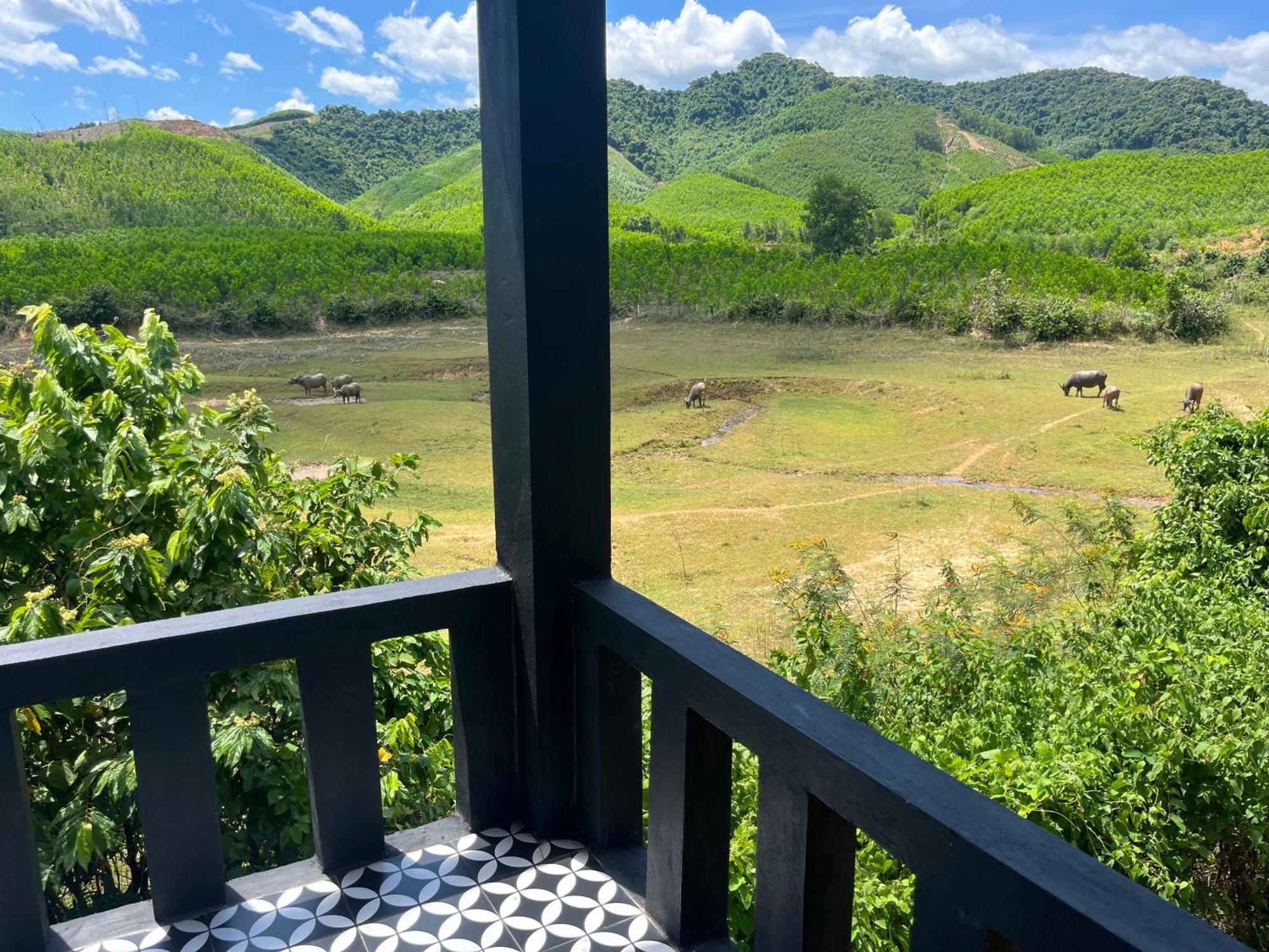 Nguyen Shack Retreat Resort フォンニャ エクステリア 写真